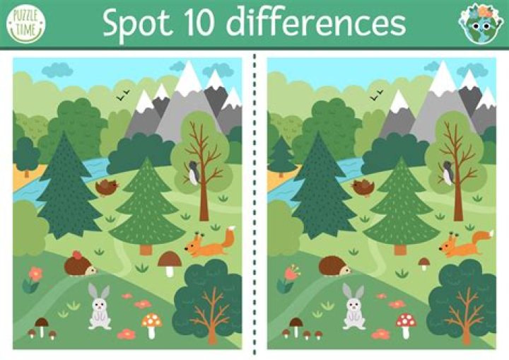 Find the Differences