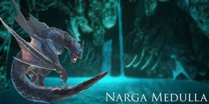 How To Get Narga Medulla In Monster Hunter Rise
