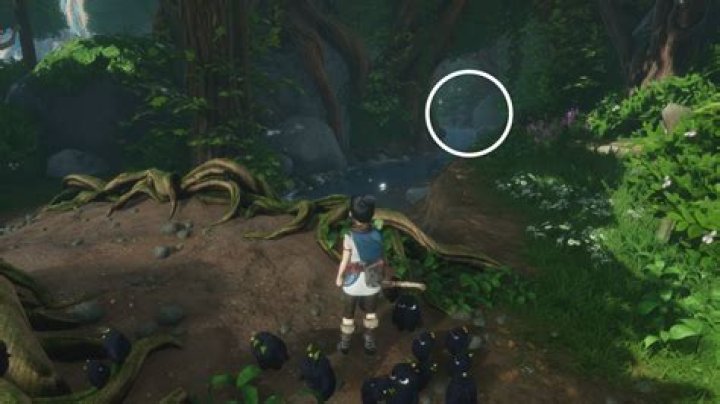 Meditation Spot #2 (Forgotten Forest)