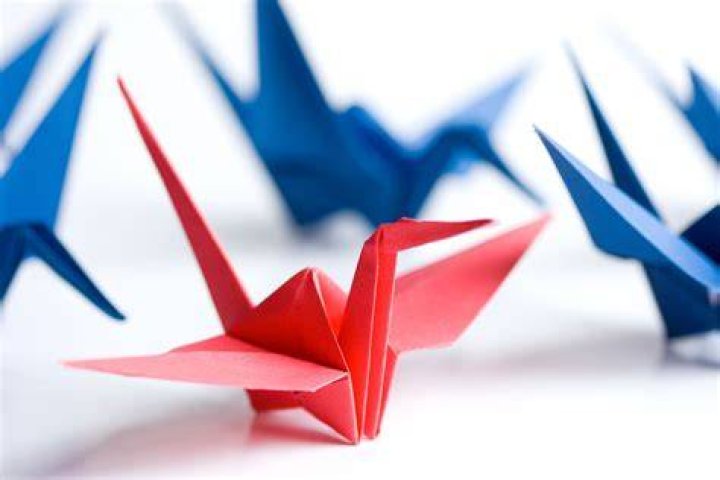 Origami Crane Folder